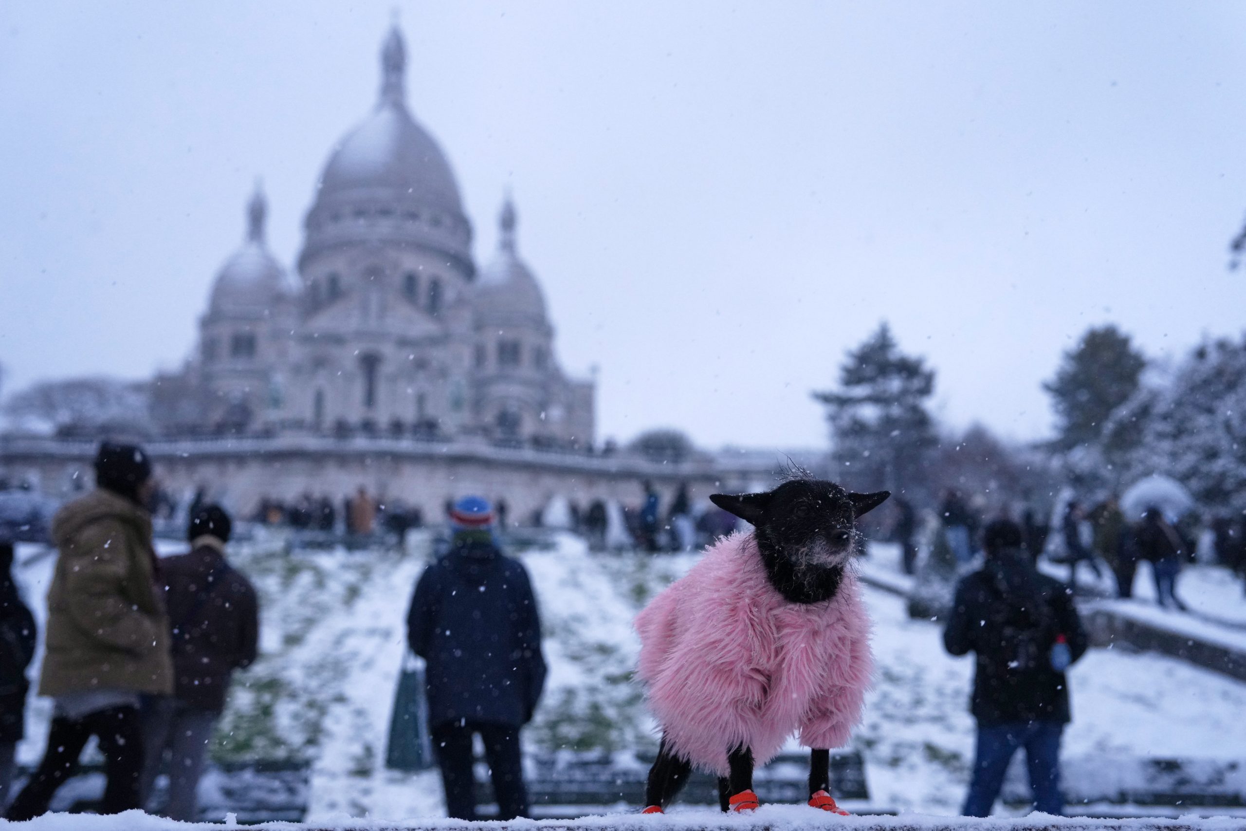 Κύμα ψύχους σαρώνει την Ευρώπη -Σφοδρή χιονόπτωση σε Γαλλία, Ολλανδία και Βρετανία