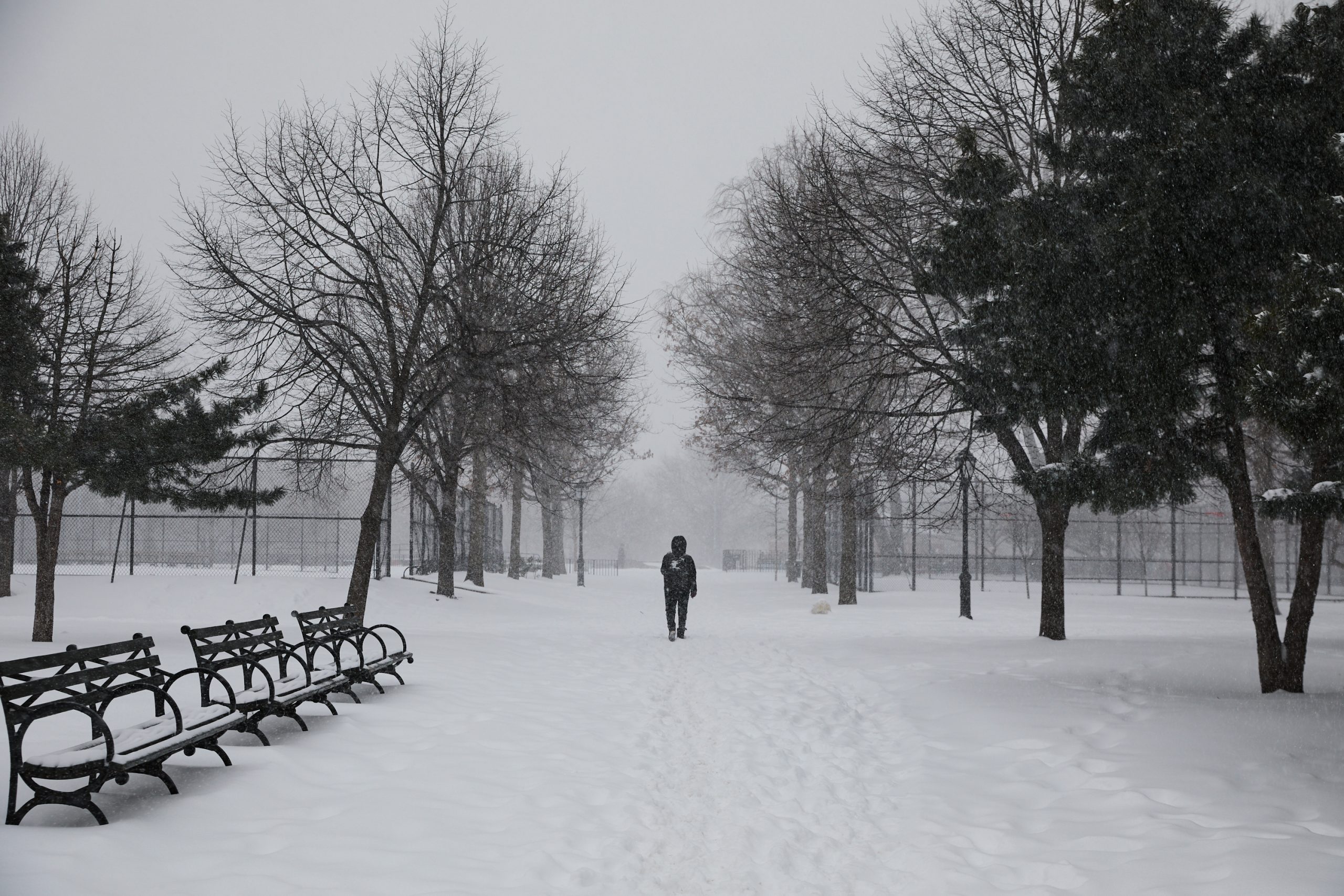 Σφοδρή χιονοθύελλα και πολικό ψύχος πλήττουν τις ΗΠΑ – Ακυρώσεις πτήσεων, διακοπές ρεύματος και παγωμένες πόλεις