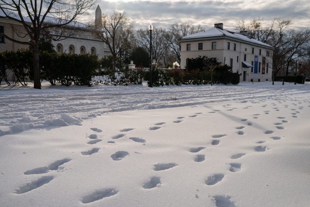 Εικόνες από τη «λευκή καθημερινότητα» στις ΗΠΑ