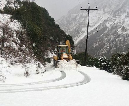 Αυστηρά μέτρα βιοασφάλειας για την ευλογιά προβάτου στη Θεσσαλία