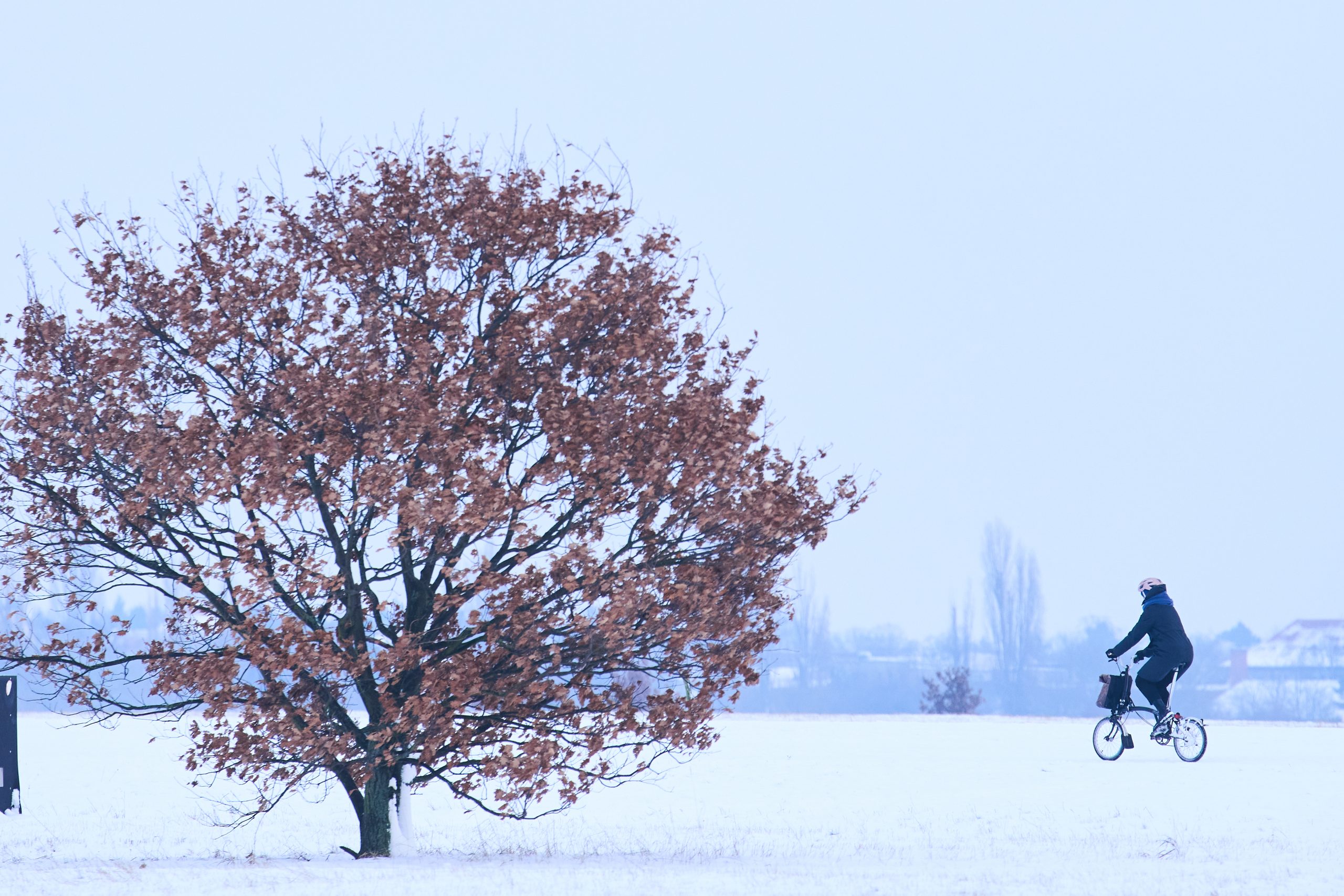 Germany Extreme Weather