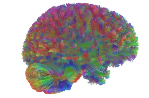 Το “Tinos Food Paths” αλλιώς! <br> – για φέτος…