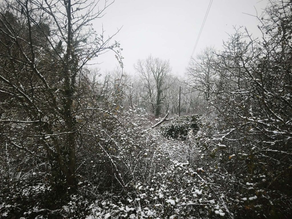 Στο «μάτι» της κακοκαιρίας η Ήπειρος – Λευκό τοπίο και η πόλη των Ιωαννίνων