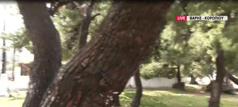 Επίτιμος Δημότης Καλαμάτας θα ανακηρυχθεί ο Κώστας Καραμανλής στους εορτασμούς της Πολιούχου Παναγίας Υπαπαντής