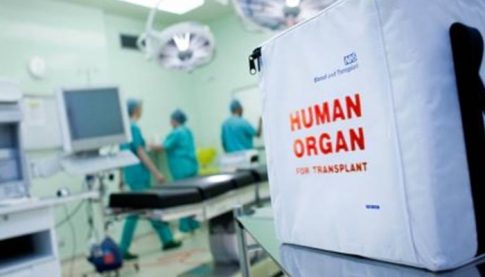 Πέθανε ο 53χρονος που έπεσε από δέντρο στη Μακρινίτσα