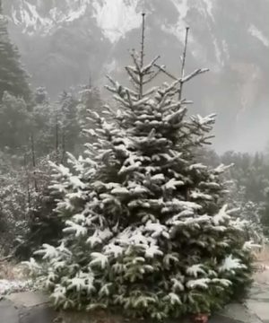 <strong>Υπό έλεγχο η φωτιά στο Λουτρότοπο Άρτας</strong>