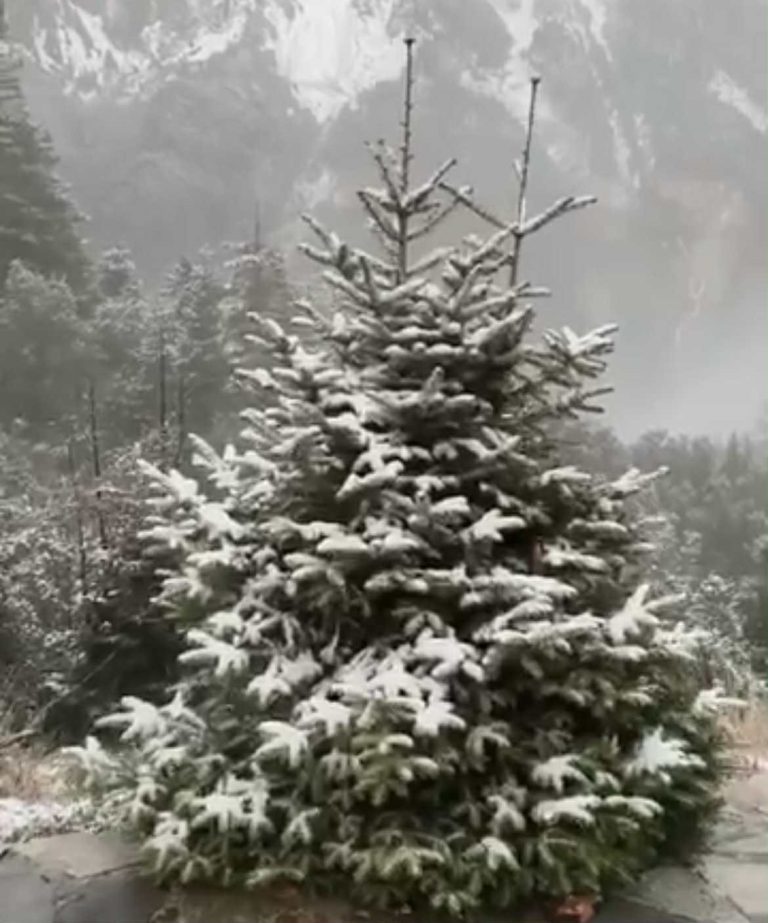 Χειμωνιάτικο τοπίο στην Ήπειρο: Στα λευκά τα Ζαγοροχώρια και το φαράγγι του Βίκου