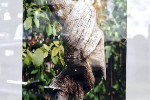 ‘Νύχτες καλοκαιριού’ με την Κ.Ο.Θ.<br>στο ‘Μίκης Θεοδωράκης’ του Δήμου Κορδελιού-Ευόσμου