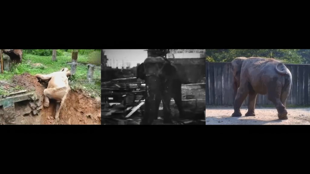 Sundance 2026: Η Ιστορία των ντοκιμαντέρ… στο Sundance 2026