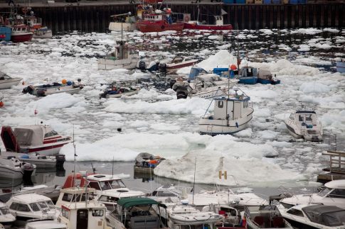 Σε στάση αναμονής οι αγρότες μέχρι την εξειδίκευση των μέτρων – «Δεν θα μείνουμε θεατές» διαμηνύει η κυβέρνηση