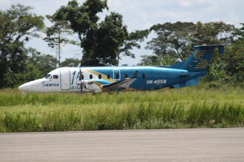 Ιεράπετρα: Σύλληψη για <strong>δηλητηρίαση αδέσποτου σκύλου</strong>