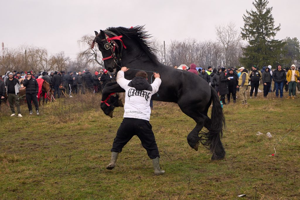 Ερευνητές ανακάλυψαν κάτι εκπληκτικό για τα άλογα που δεν γνωρίζαμε μέχρι σήμερα