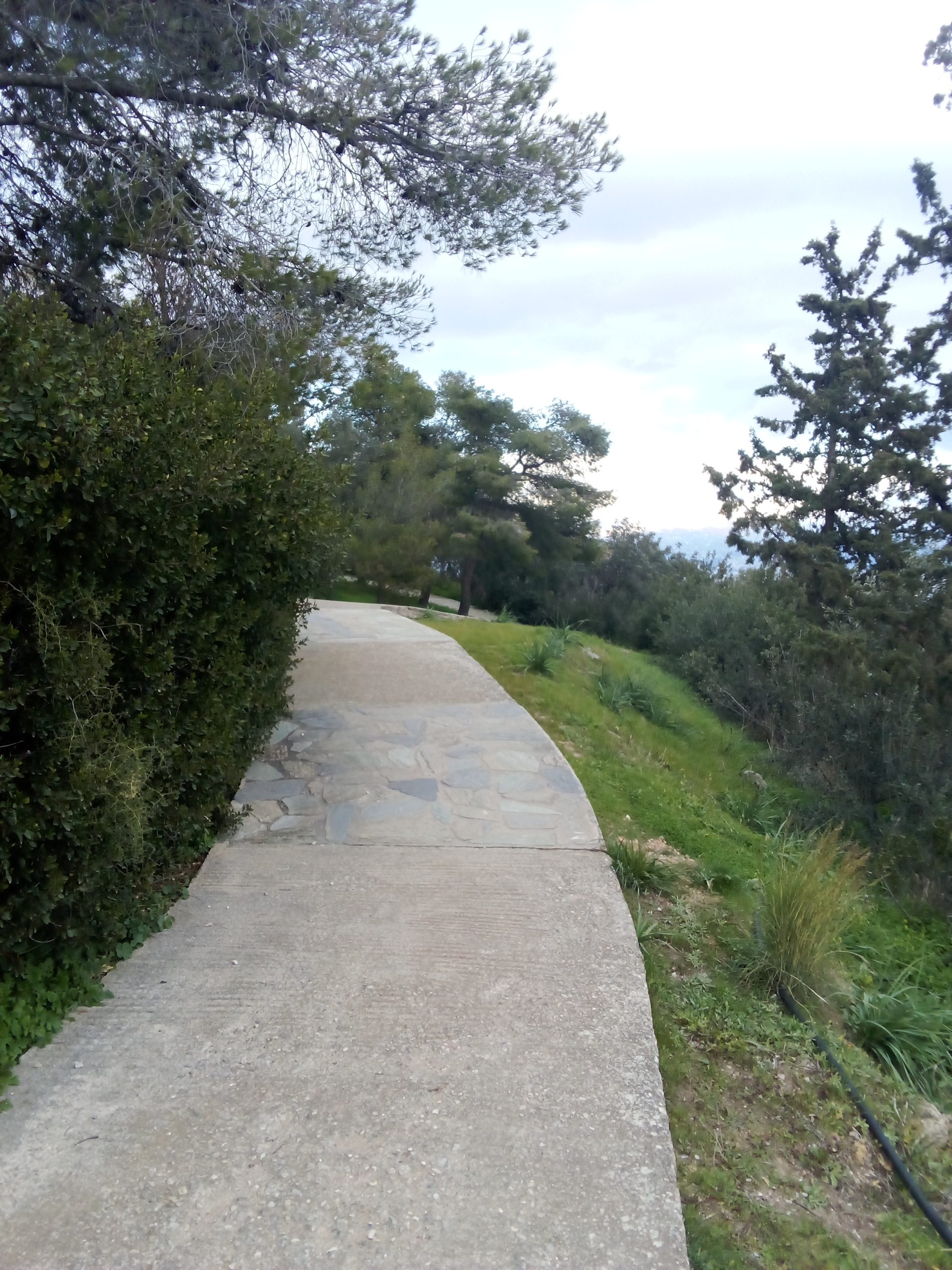 img-20260118-162934 Από τον αρχαίο «Αγχεσμό» έως το Αττικό Άλσος (φωτορεπορτάζ)