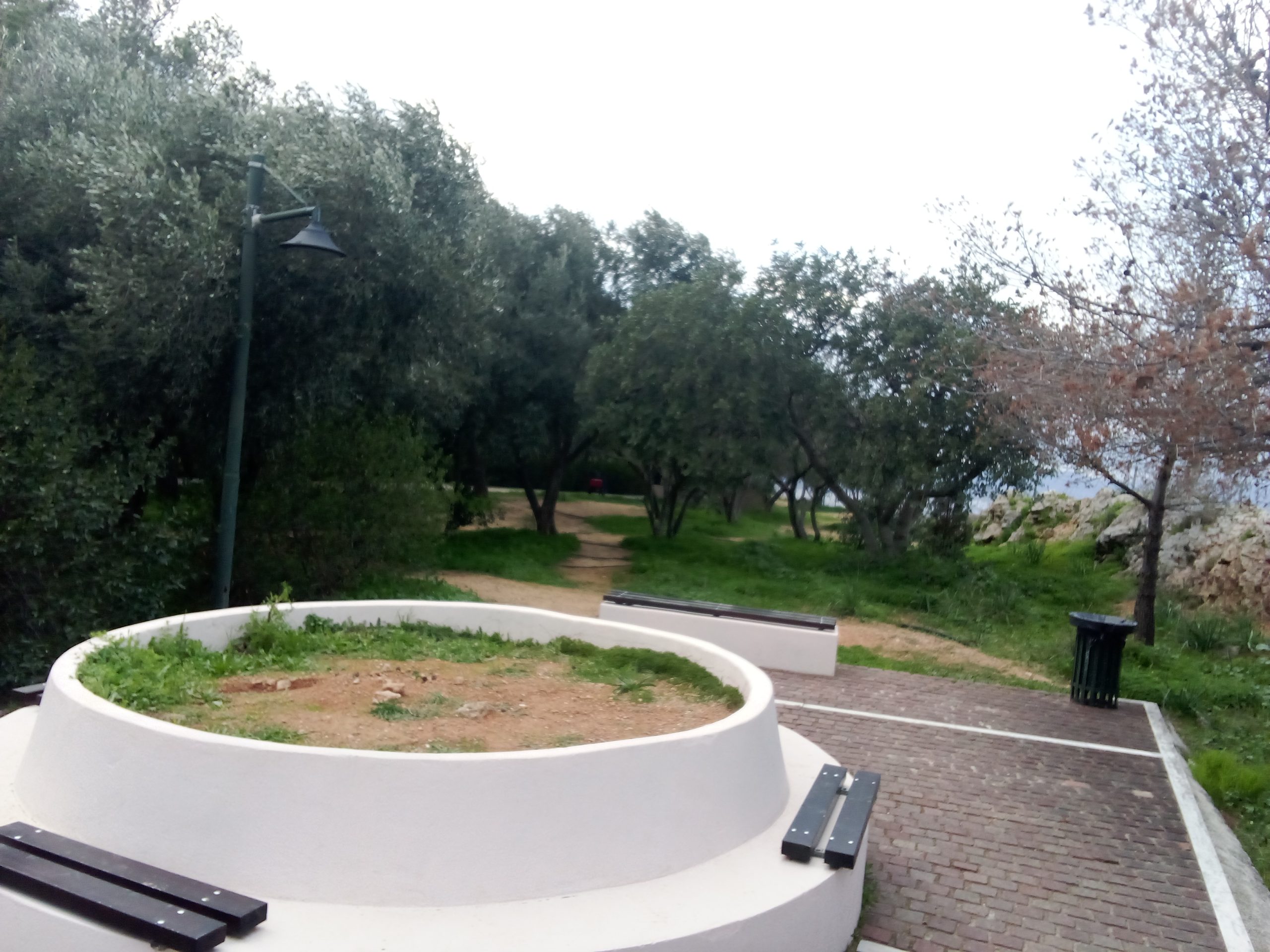 img-20260118-163907 Από τον αρχαίο «Αγχεσμό» έως το Αττικό Άλσος (φωτορεπορτάζ)