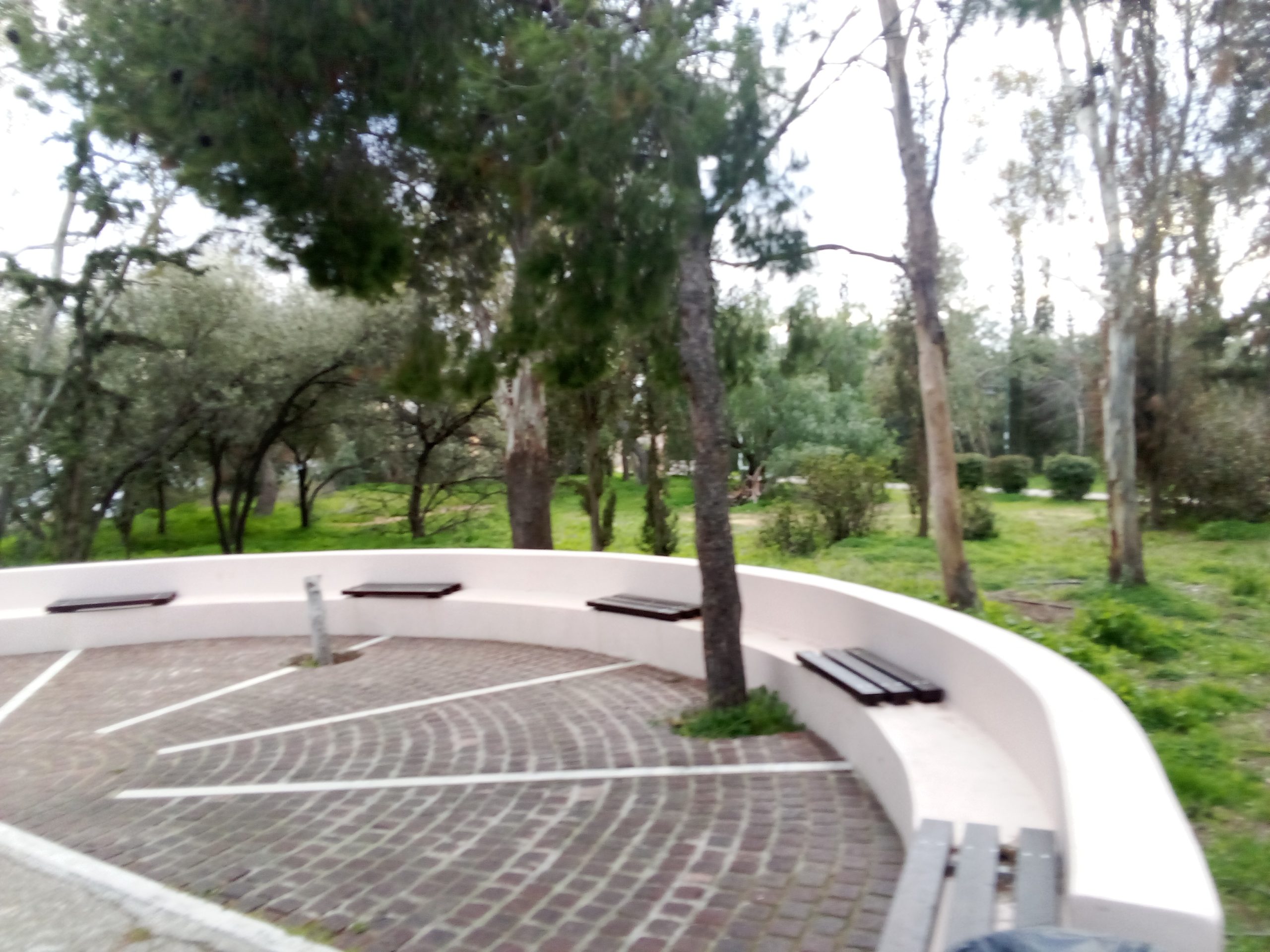 img-20260118-163951 Από τον αρχαίο «Αγχεσμό» έως το Αττικό Άλσος (φωτορεπορτάζ)