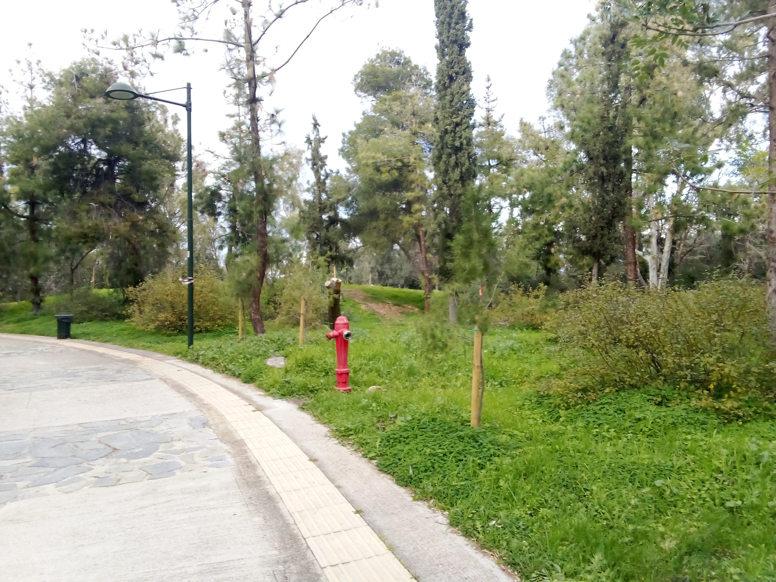 img-20260118-164316 Από τον αρχαίο «Αγχεσμό» έως το Αττικό Άλσος (φωτορεπορτάζ)