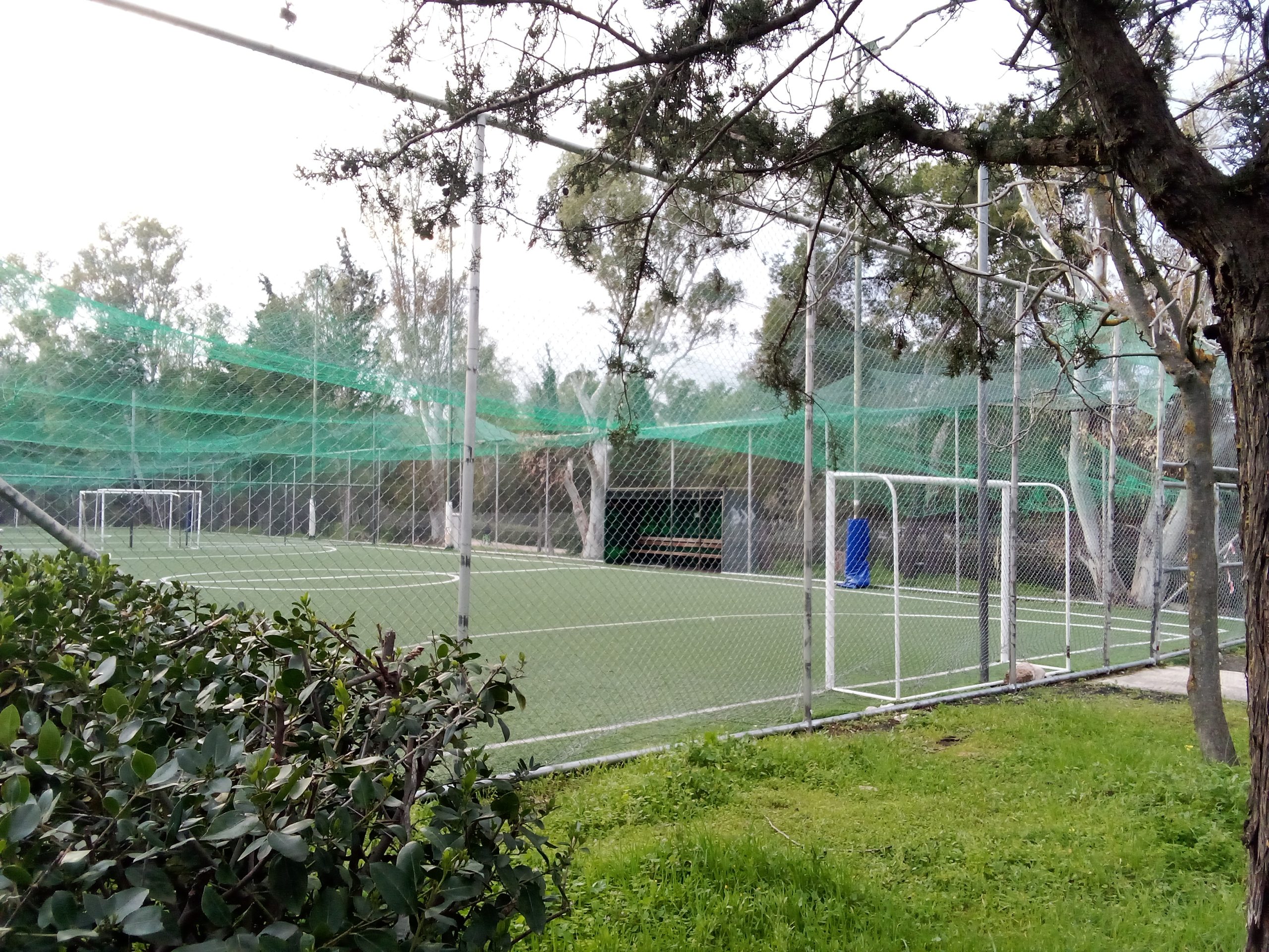 img-20260118-164718 Από τον αρχαίο «Αγχεσμό» έως το Αττικό Άλσος (φωτορεπορτάζ)