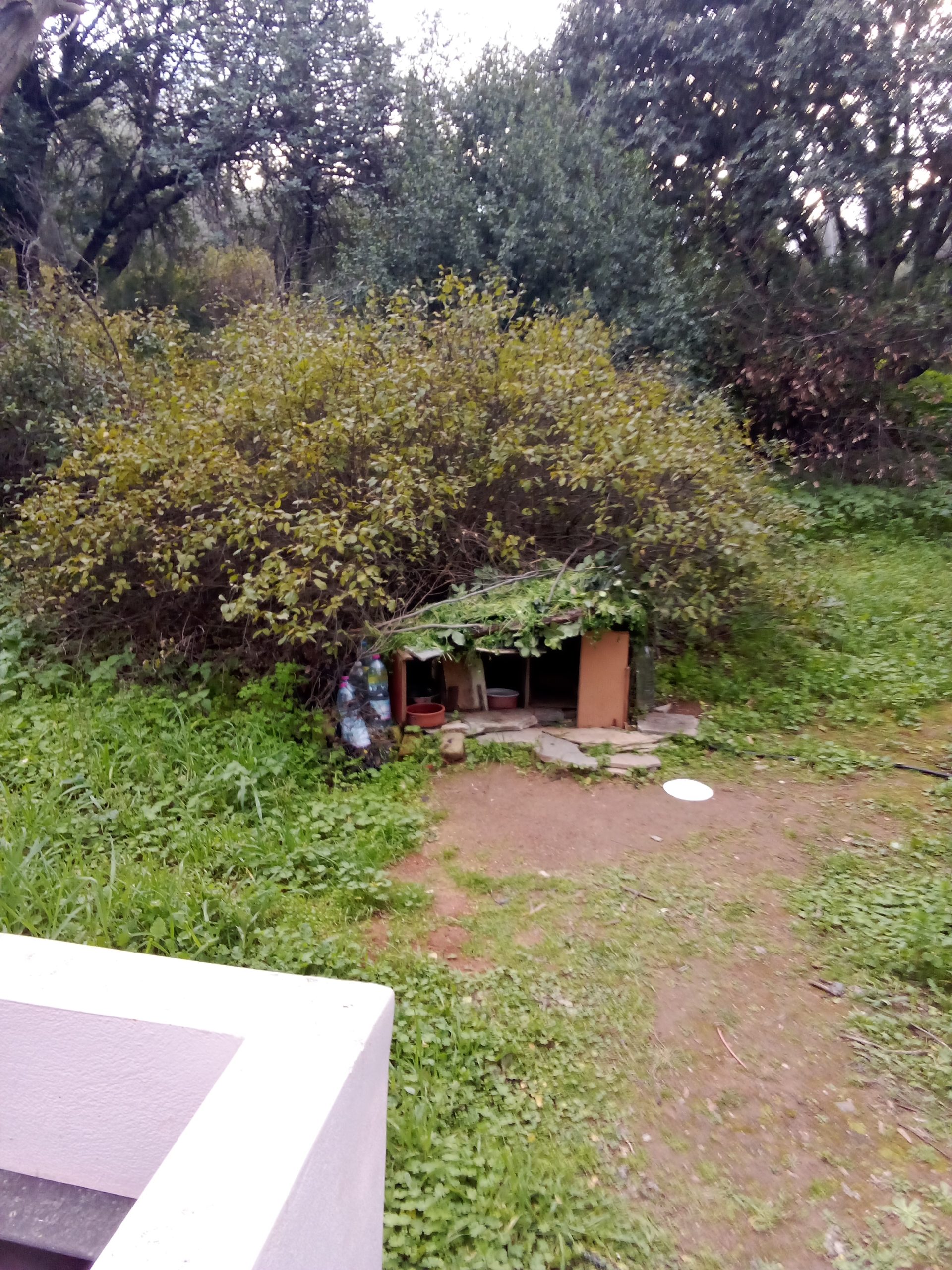 Από τον αρχαίο «Αγχεσμό» έως το Αττικό Άλσος (φωτορεπορτάζ)