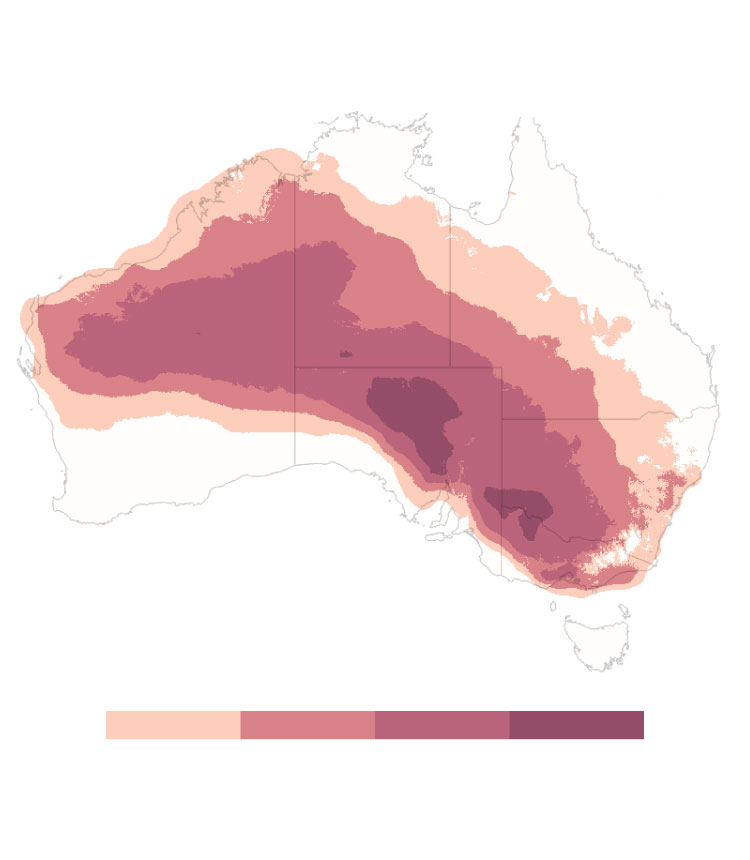 Νέος ακραίος καύσωνας πλήττει την Ανατολική Αυστραλία – Υπεύθυνη η κλιματική αλλαγή σύμφωνα με νέα έρευνα