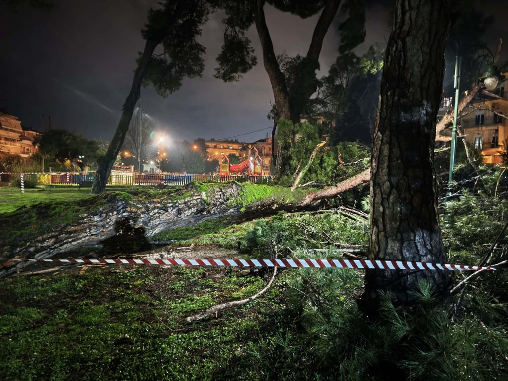 Ιωάννινα: Η κακοκαιρία ξερίζωσε πεύκο στο πάρκο Γηροκομείο – Αποκλείστηκε η περιοχή