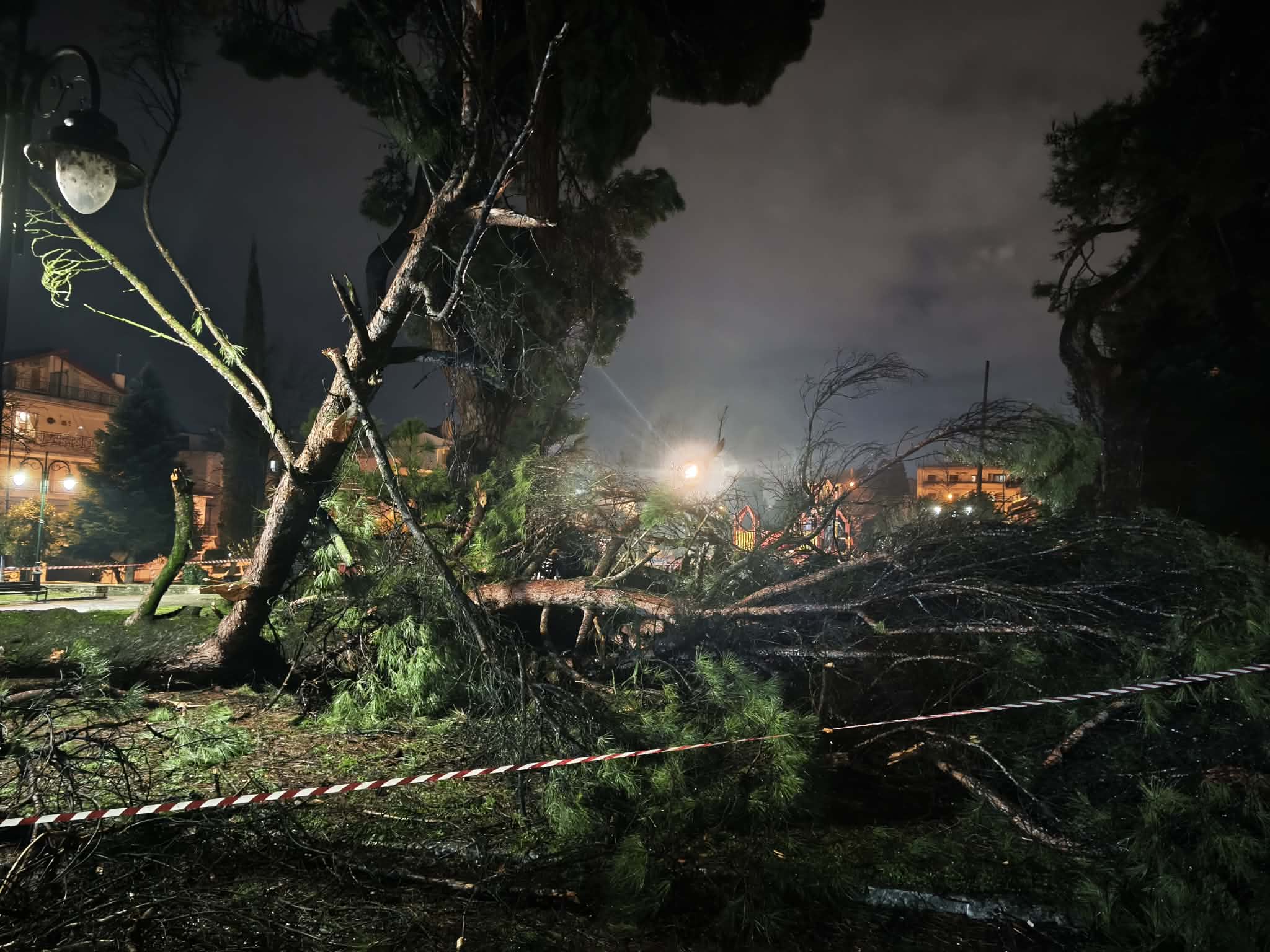 Ιωάννινα: Η κακοκαιρία ξερίζωσε πεύκο στο πάρκο Γηροκομείο – Αποκλείστηκε η περιοχή