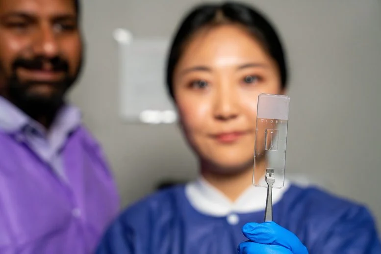 Νέα πλατφόρμα αναπαράγει πολύπλοκες δομές αιμοφόρων αγγείων