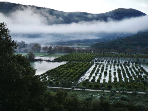 Θεσπρωτία: “Μπλόκο” της Αστυνομίας σε 75 κιλά χασίς