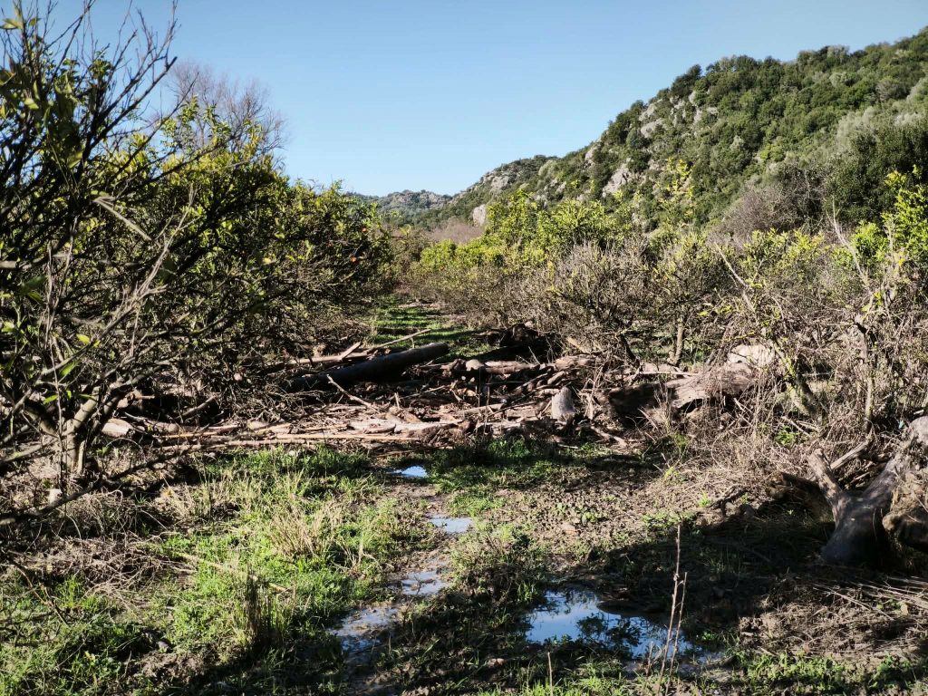 Ήπειρος: Υπερχείλιση του ποταμού Καλαμά – Μηχανήματα απομακρύνουν φερτά υλικά