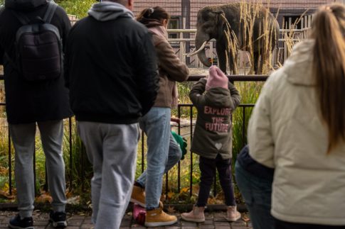 Η επόμενη ημέρα της θεομηνίας: Οι αυτοψίες και τα ποσά των αποζημιώσεων που θα λάβουν οι πληγέντες