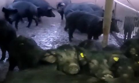 Θεσσαλονίκη: Κατεδάφιση της αερογέφυρας Πανοράματος για τα έργα του FlyOver – Την Κυριακή σε κυκλοφορία ο δρόμος