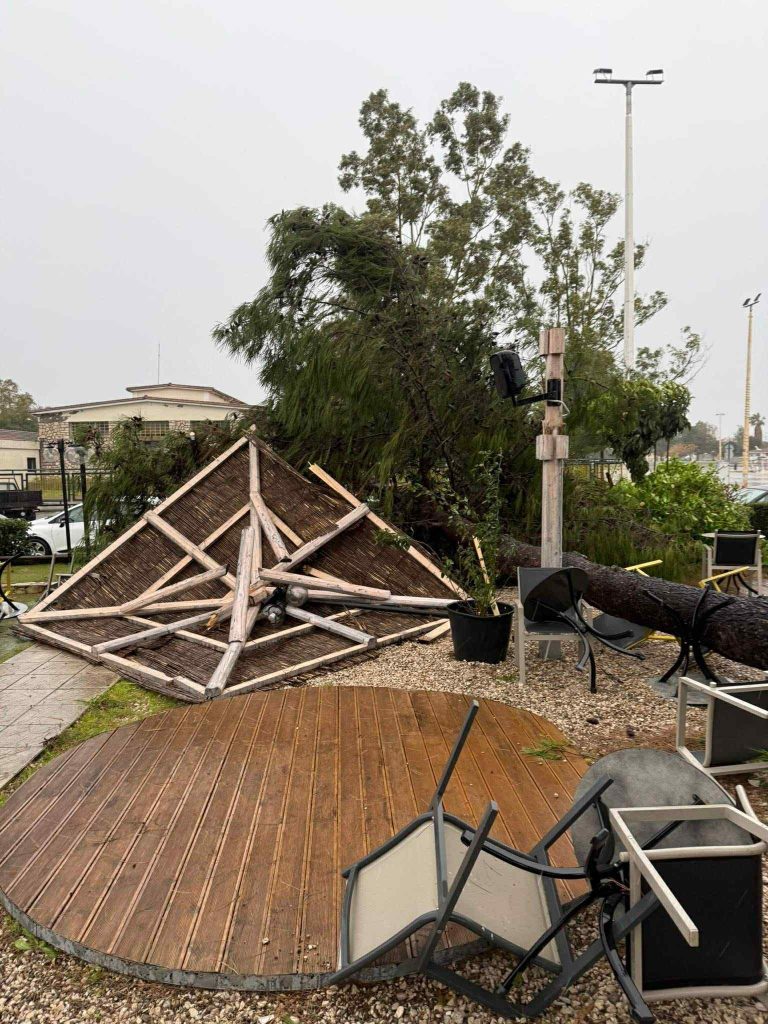 Η επόμενη μέρα της κακοκαιρίας στο Μεσολόγγι – Tέντες ξηλώθηκαν, δέντρα ξεριζώθηκαν, ζημιές σε καταστήματα