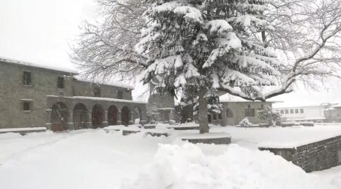 Φωτεινή Κυριαζοπούλου: Παράνομες πρακτικές και εξορίες αδέσποτων – Ο Δήμος αγνοεί τον νόμο