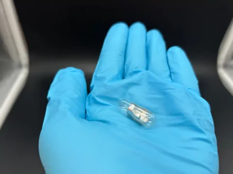 «Θαλής 2025»: 135 μαθητές της Μαγνησίας διακρίθηκαν στον διαγωνισμό Μαθηματικών