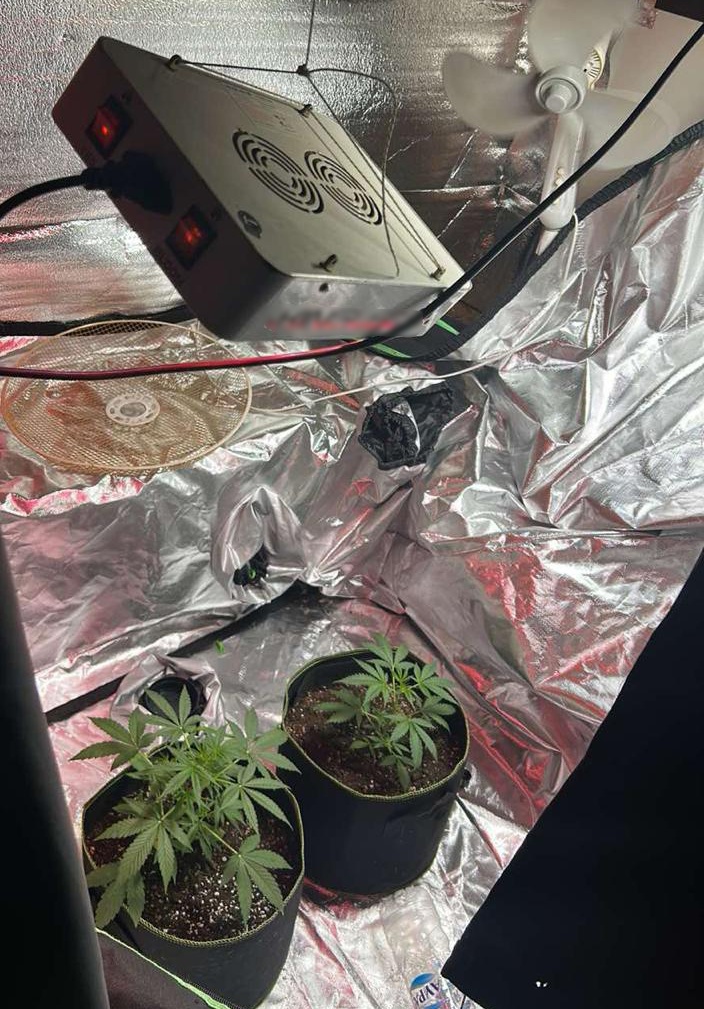 Ρόδος: Εξάρθρωση εγκληματικής οργάνωσης για καλλιέργεια και διακίνηση κάνναβης