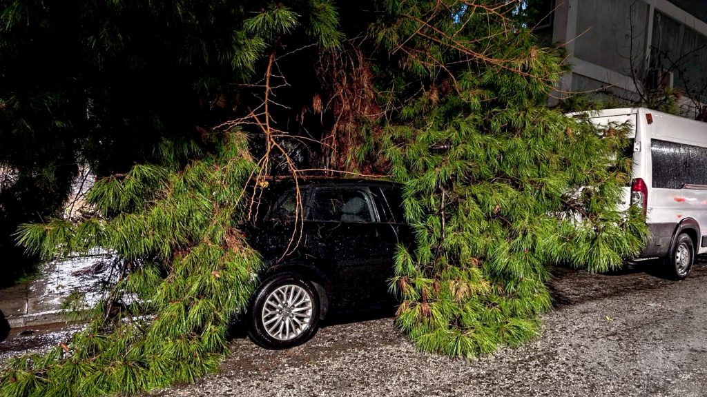 Εκτεταμένες ζημιές και καταστροφές από το πέρασμα της φονικής κακοκαιρίας – Αυτοψία του ΕΡΤnews