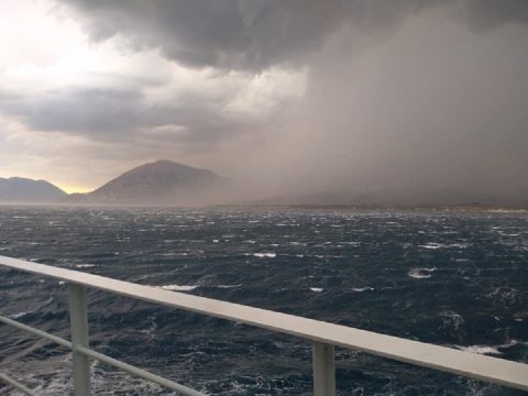 <strong>Διπλωματικές πηγές για τους Έλληνες πολίτες στο αεροδρόμιο του Καΐρου, συμμετέχοντες στην «Πορεία προς τη Γάζα»</strong>