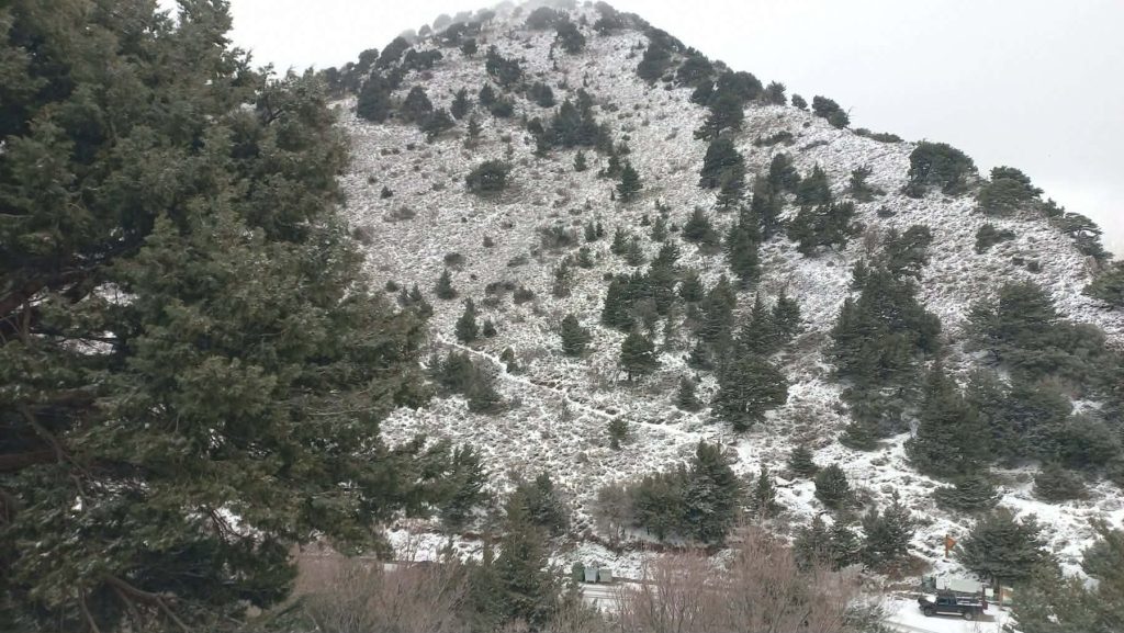 Χανιά: Στα λευκά ντύθηκε το οροπέδιο του Ομαλού – Χωρίς προβλήματα η κυκλοφορία