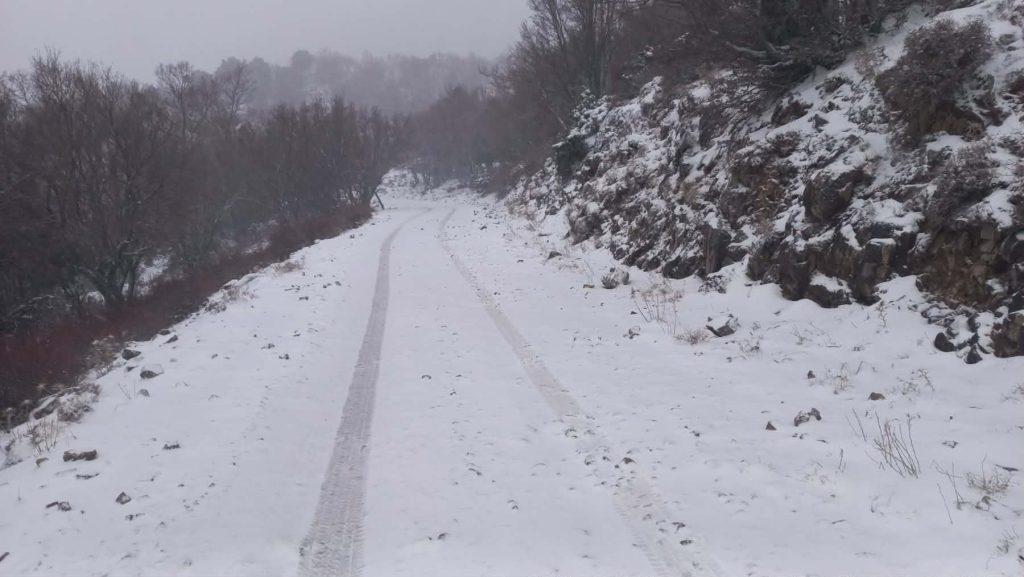Χανιά: Στα λευκά ντύθηκε το οροπέδιο του Ομαλού – Χωρίς προβλήματα η κυκλοφορία
