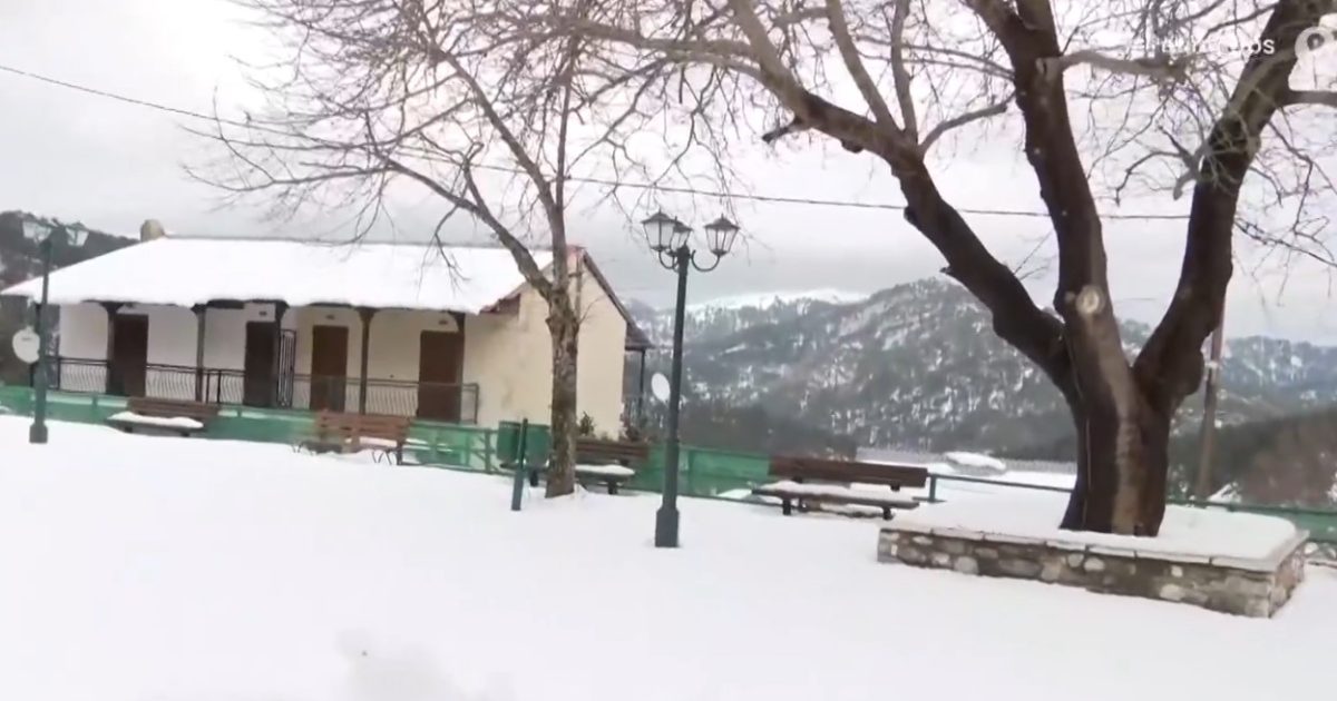 Τα άλογα, οι λύκοι και οι πέντε κάτοικοι του χειμώνα στο Περιβόλι Γρεβενών