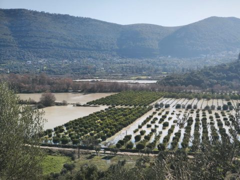 Aσπρόπυργος: Επεισόδια το βράδυ της Κυριακής – Τραυματίστηκε από πέτρα αστυνομικός