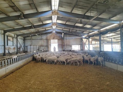 Ο Τραμπ παίρνει πίσω τους δασμούς για τη Γροιλανδία