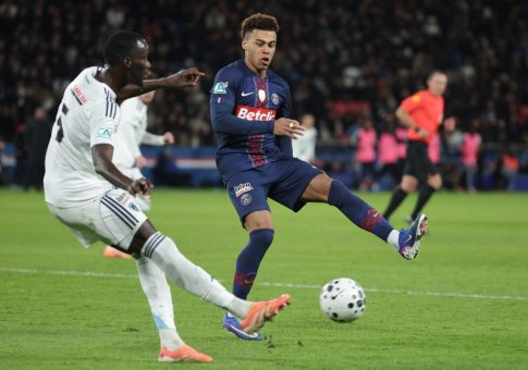 Ελέφαντας σε «αμόκ» έχει σκοτώσει 20 άτομα σε εννέα ημέρες στην Ινδία