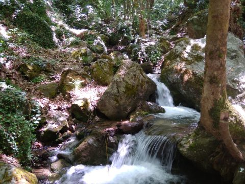 Σε πλήρη επιφυλακή η Περιφέρεια Μαγνησίας για τον χιονιά – Ανοιχτό το οδικό δίκτυο