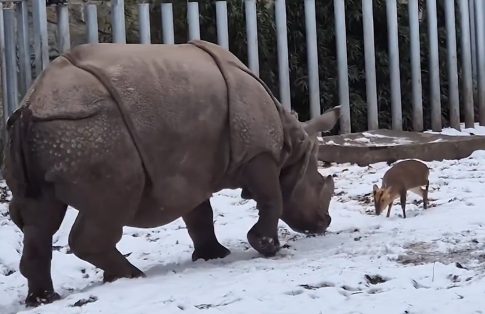 ΔΥΠΑ: Νέα αξιολογημένα προγράμματα κατάρτισης – Αφορά 50.000 ωφελούμενους <strong>ανέργους</strong>