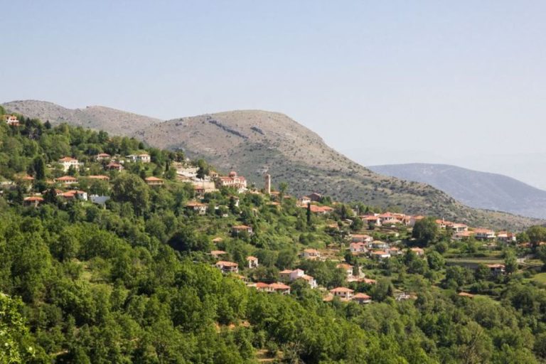 Κοπή πίτας στο Καστρί για τον ΣΑΟΟ Τρίπολης