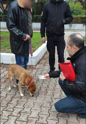 Θεσσαλονίκη: Έως και 1000 ευρώ πρόστιμα σε κηδεμόνες ζώων συντροφιάς