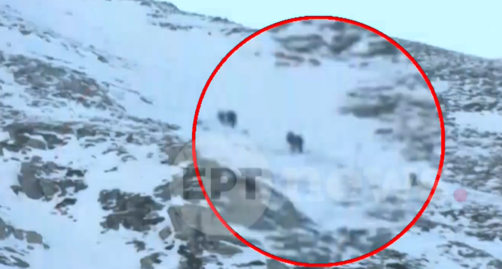 Ταΰγετος: Eπιχείρηση απεγκλωβισμού ορειβατών σε υψόμετρο 2.000 μέτρων – Αναφορές για τέσσερις τραυματίες