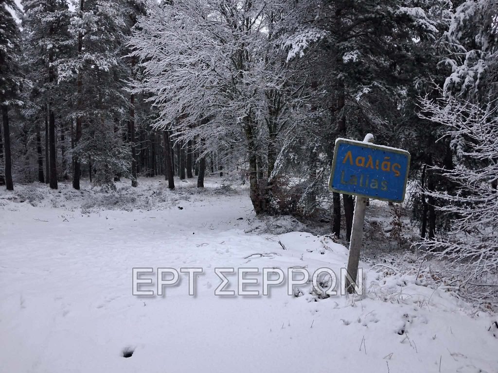 Επέλαση του χιονιά στις Σέρρες – Εκχιονιστικά μηχανήματα από το πρωί στους δρόμους