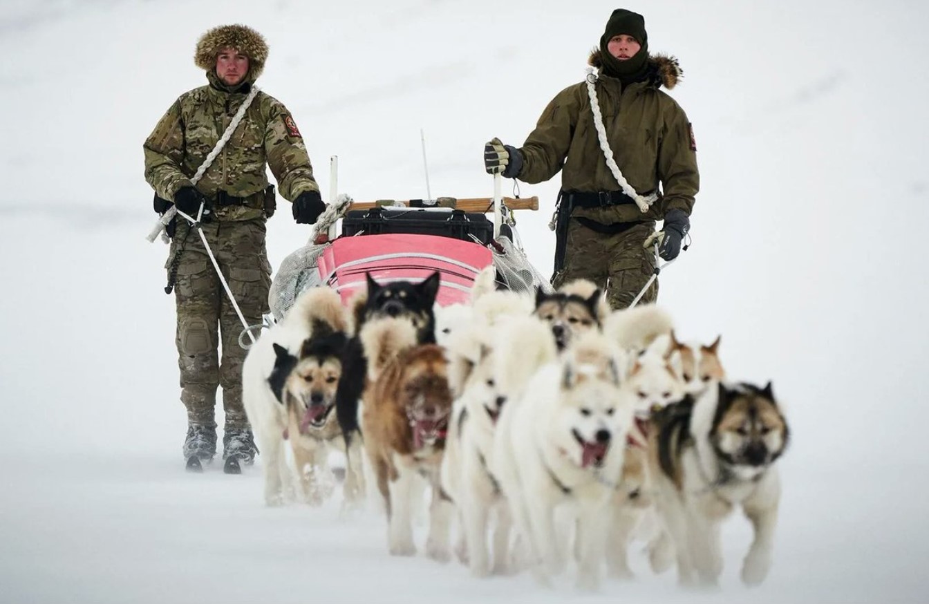 Sirius Dog Sled Patrol: H επίλεκτη μονάδα του Βασιλικού Ναυτικού της Δανίας που περιπολεί στους -50 °C και φτάνει εκεί που τα snowmobiles χαλάνε