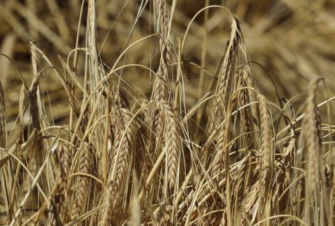 Η ΑΔΕΔΥ κηρύσσει στάση εργασίας στη Μαγνησία και τις Σποράδες για την επαναφορά 13ου και 14ου μισθού